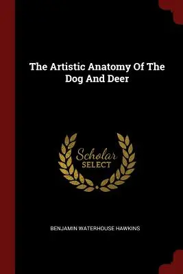 L'anatomie artistique du chien et du cerf - The Artistic Anatomy Of The Dog And Deer