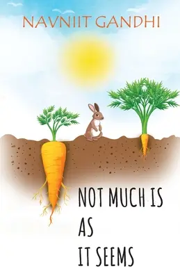 Les choses ne sont pas toujours ce qu'elles semblent être - Not Much Is As It Seems