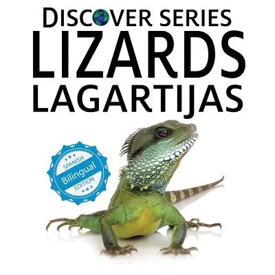 Lézards / Lagartijas - Lizards / Lagartijas