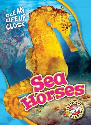 Chevaux de mer - Sea Horses