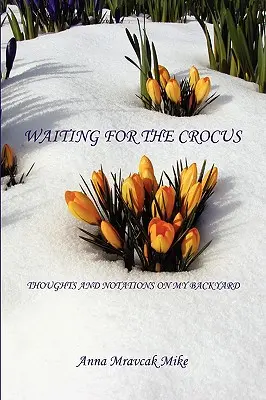 En attendant les crocus - Réflexions et notations sur mon jardin - Waiting for the Crocus - Thoughts and Notations on My Backyard