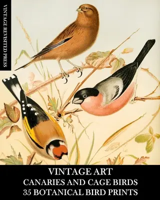 Art Vintage : Canaris et oiseaux de cage 35 tirages botaniques : Ephémères pour l'encadrement, le découpage et les techniques mixtes - Vintage Art: Canaries and Cage Birds 35 Botanical Prints: Ephemera for Framing, Decoupage, and Mixed Media