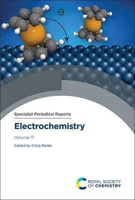 Électrochimie : Volume 17 - Electrochemistry: Volume 17