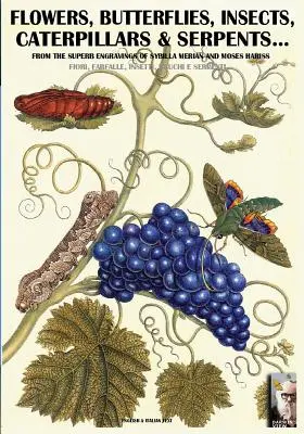 fleurs, papillons, insectes, chenilles et serpents... : D'après les gravures de Sybilla Merian et Moses Hariss des XVIIe et XVIIIe siècles - flowers, butterflies, insects, caterpillars & serpents...: From Sybilla Merian & Moses Hariss XVII-XVIII Centuries engravings