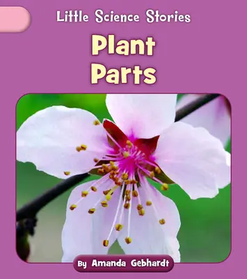 Les parties de la plante - Plant Parts