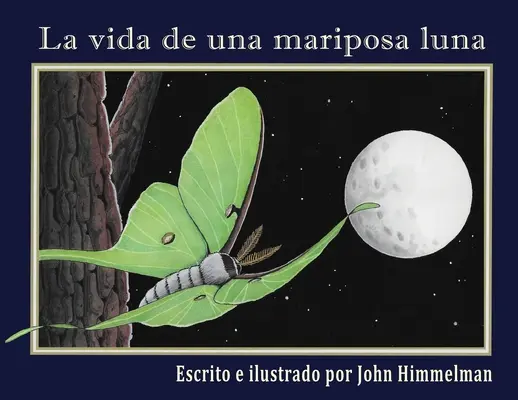 La vie d'une mariposa luna - La vida de una mariposa luna