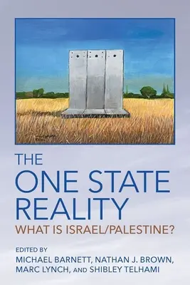 La réalité d'un État unique : Qu'est-ce qu'Israël/Palestine ? - The One State Reality: What Is Israel/Palestine?