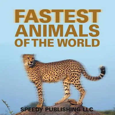 Les animaux les plus rapides du monde - Fastest Animals Of The World