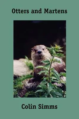 Loutre et martre - Otters and Martens