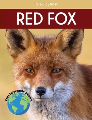 Renard roux : Des faits fascinants sur les animaux pour les enfants - Red Fox: Fascinating Animal Facts for Kids