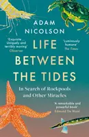 La vie entre les marées - À la recherche des piscines de rochers et autres aventures le long du rivage - Life Between the Tides - In Search of Rockpools and Other Adventures Along the Shore