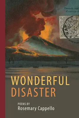 Une merveilleuse catastrophe - Wonderful Disaster