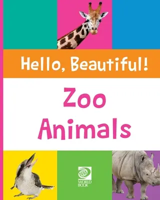 Animaux du zoo - Zoo Animals