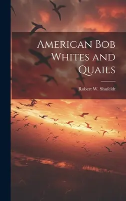 Les bobs blancs et les cailles d'Amérique - American bob Whites and Quails