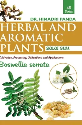 PLANTES HERBACÉES ET AROMATIQUES - 46. Boswellia serrata (Gomme de Salai) - HERBAL AND AROMATIC PLANTS - 46. Boswellia serrata (Salai Gum)