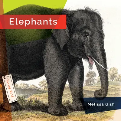 Éléphants - Elephants