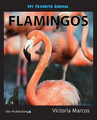 Mon animal préféré : les tortues Les flamants roses - My Favorite Animal: Flamingos