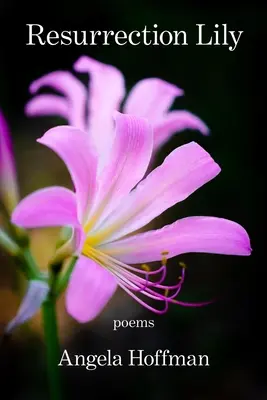 Lys de résurrection - Resurrection Lily