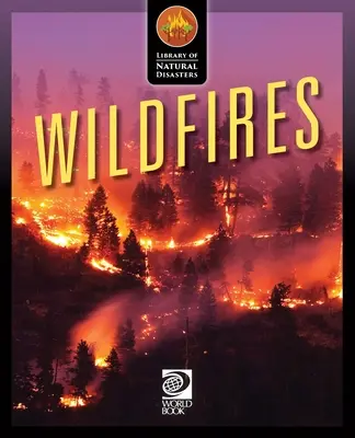 Les feux de forêt - Wildfires