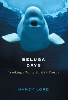 Beluga Days : La traque des vérités d'une baleine blanche - Beluga Days: Tracking a White Whale's Truths