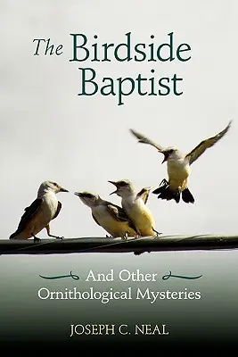 Le baptiste du côté des oiseaux - The Birdside Baptist