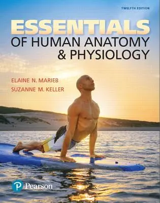 L'essentiel de l'anatomie et de la physiologie humaines - Essentials of Human Anatomy & Physiology