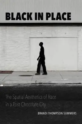 Black in Place : L'esthétique spatiale de la race dans une ville post-chocolat - Black in Place: The Spatial Aesthetics of Race in a Post-Chocolate City