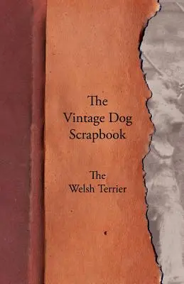 Le journal d'un chien d'époque - Le Welsh Terrier - The Vintage Dog Scrapbook - The Welsh Terrier