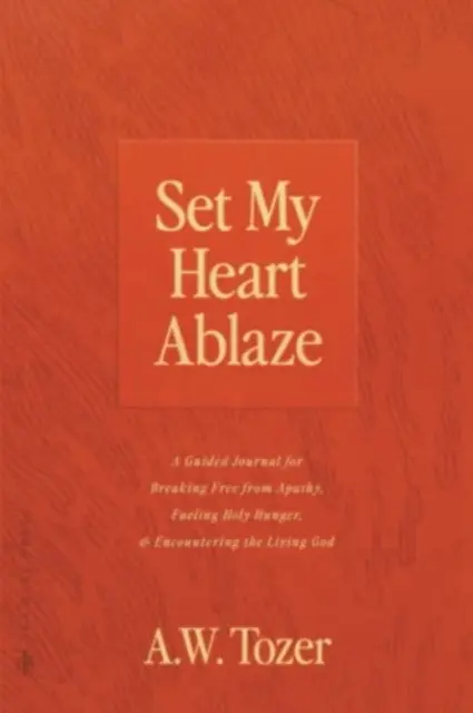 L'embrasement de mon cœur : Un journal guidé pour se libérer de l'apathie, alimenter la faim sainte et rencontrer le Dieu vivant : Avec une sélection de textes de référence - Set My Heart Ablaze: A Guided Journal for Breaking Free from Apathy, Fueling Holy Hunger, and Encountering the Living God: With Selected Re