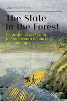 L'État dans la forêt : Les biens communs contestés dans les Alpes vénitiennes au XIXe siècle - The State in the Forest: Contested Commons in the Nineteenth Century Venetian Alps