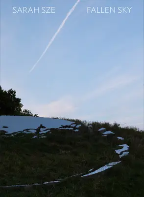 Sarah Sze : Fallen Sky - Sarah Sze: Fallen Sky