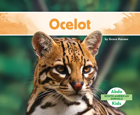 Ocelot (Ocelot) - Ocelot