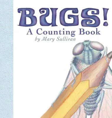 Bugs ! un livre à compter - Bugs! a Counting Book