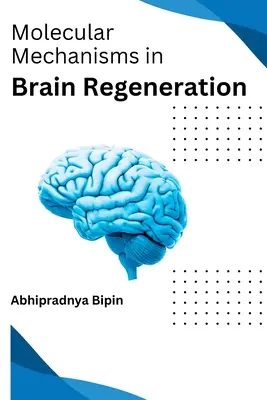 Mécanismes moléculaires de la régénération du cerveau - Molecular Mechanisms in Brain Regeneration