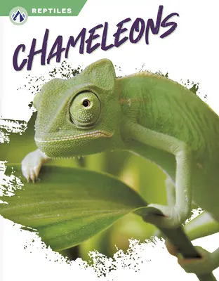 Caméléons - Chameleons