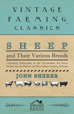 Les moutons et leurs différentes races - contenant des informations sur le Lincolnshire, le Saxon Merino, le Southdown et de nombreuses autres variétés de moutons - Sheep and Their Various Breeds - Containing Information on the Lincolnshire, the Saxon Merino, the Southdown and Many Other Varieties of Sheep