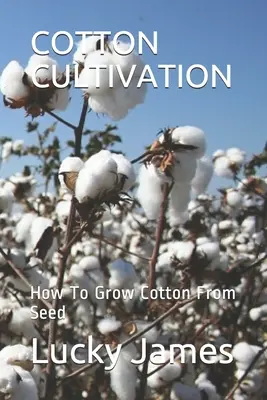 Culture du coton : Comment cultiver du coton à partir de semences - Cotton Cultivation: How To Grow Cotton From Seed