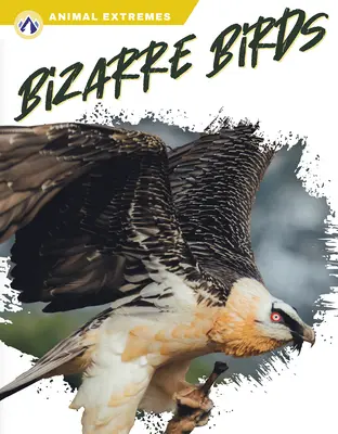 Oiseaux bizarres - Bizarre Birds