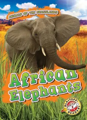 Éléphants d'Afrique - African Elephants