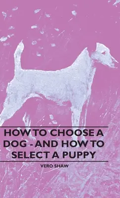 Comment choisir un chien - et comment sélectionner un chiot - How To Choose A Dog - And How To Select A Puppy