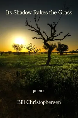 Son ombre ratisse l'herbe - Its Shadow Rakes the Grass