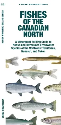 Poissons du Nord canadien : Un guide pliant imperméable aux espèces d'eau douce indigènes et introduites des Territoires du Nord-Ouest, du Nunavut et du Yukon - Fishes of the Canadian North: A Waterproof Folding Guide to Native and Introduced Freshwater Species of the Northwest Territories, Nunavut and Yukon