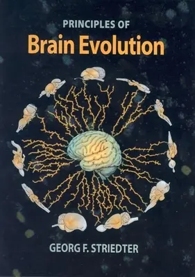 Principes de l'évolution du cerveau - Principles of Brain Evolution