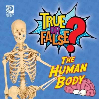 Vrai ou faux ? Le corps humain - True or False? The Human Body