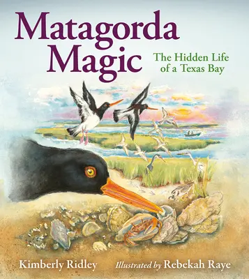 Matagorda Magic : La vie cachée d'une baie du Texas - Matagorda Magic: The Hidden Life of a Texas Bay