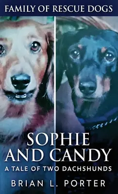 Sophie et Candy - Une histoire de deux teckels - Sophie and Candy - A Tale of Two Dachshunds