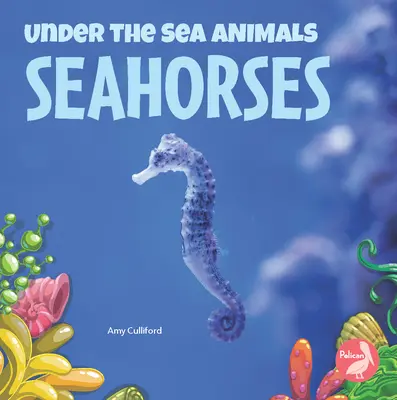 Hippocampes - Seahorses