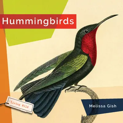 Colibris - Hummingbirds