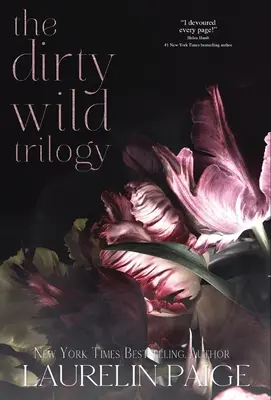 Trilogie Dirty Wild - Dirty Wild Trilogy