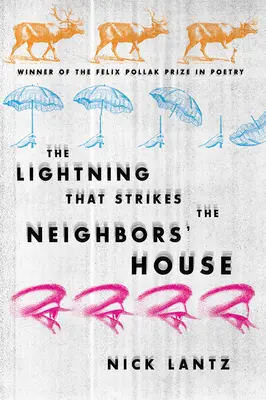 La foudre qui frappe la maison des voisins - Lightning That Strikes the Neighbors' House